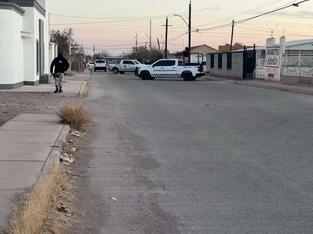 multimedia.normal.a9e51f596c4d7fc7.Y2F0ZW8gYWxkYW1hX25vcm1hbC53ZWJw