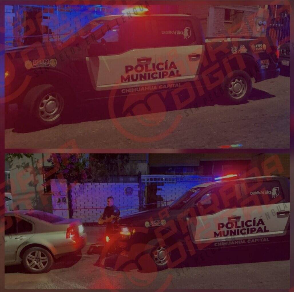 Screenshot_20250809_231206_Photo Editor