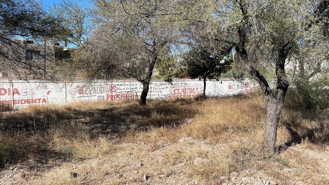 WhatsApp Image 2025-12-21 at 12.14.13