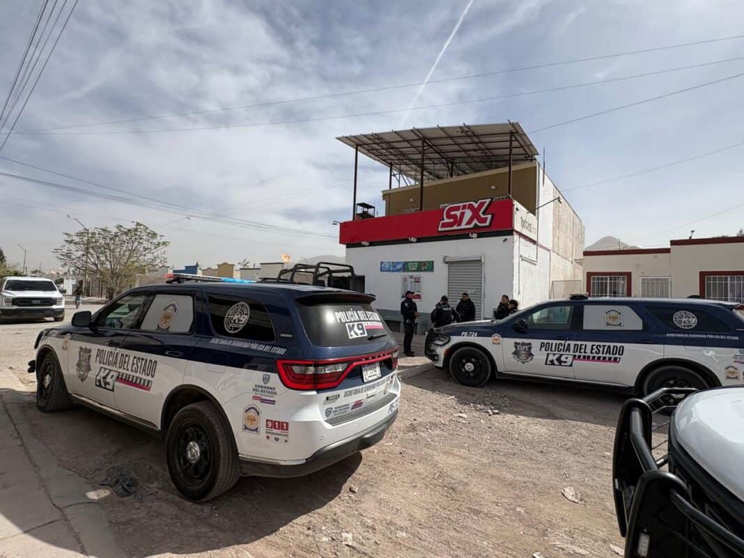 WhatsApp Image 2026-03-16 at 11.46.24