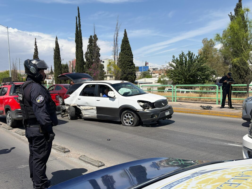 WhatsApp Image 2026-03-30 at 13.11.53