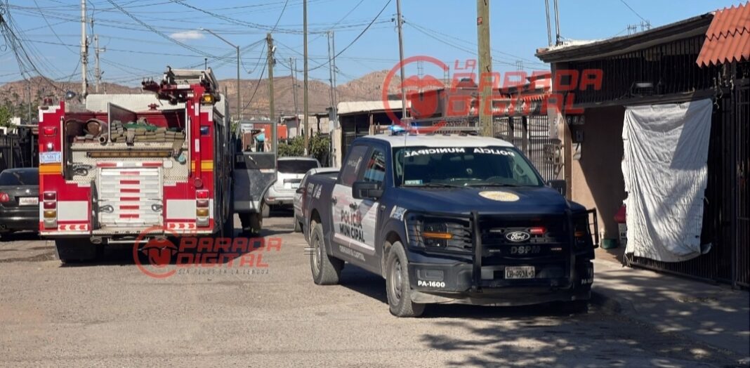 Screenshot_20260403_173241_YouCut - Video Editor