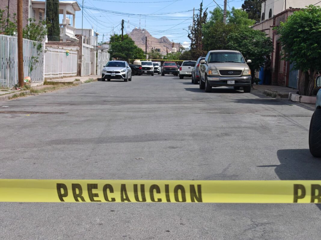 WhatsApp Image 2026-04-08 at 11.44.03