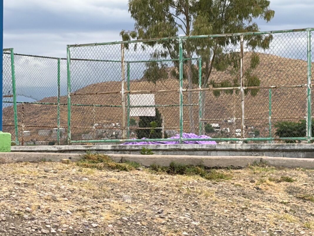 WhatsApp Image 2026-04-11 at 10.24.09