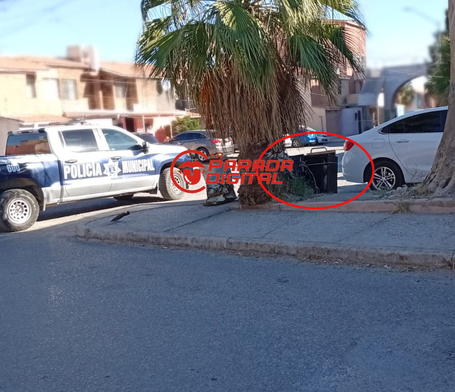 muerto cj