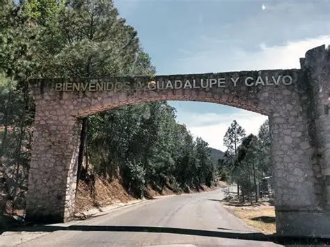 gpe y calvo