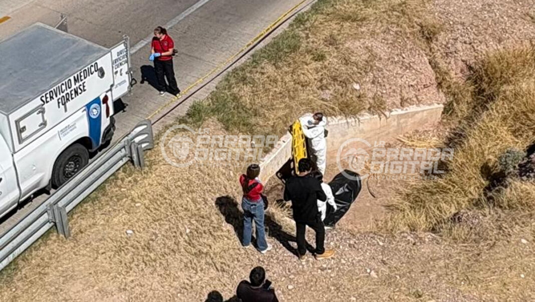 muerto carr aldama22jun
