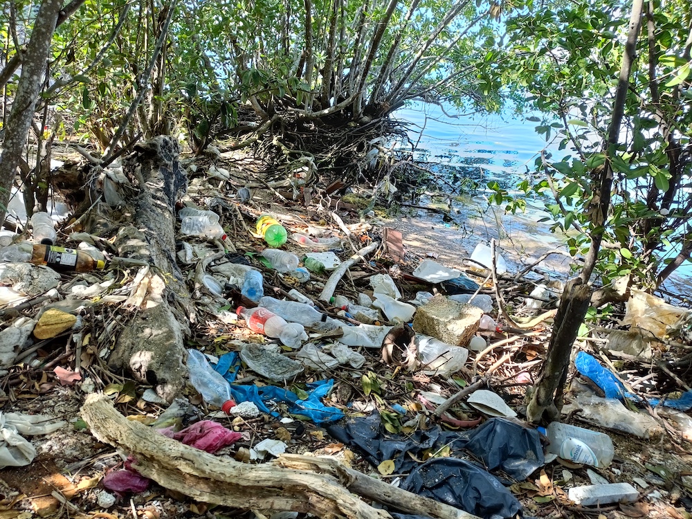 La-basura-se-acumula-en-capas-al-interior-de-los-manglares-del-estero-de-Urias.-Foto_-Raquel-Zapien