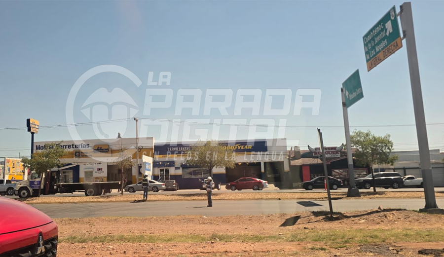 trafico pistolas meneses