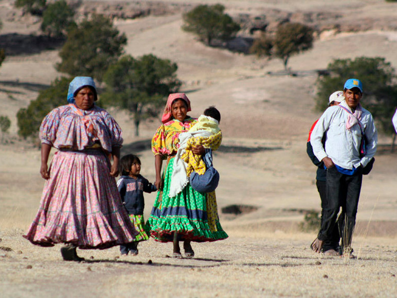 grupos-originarios